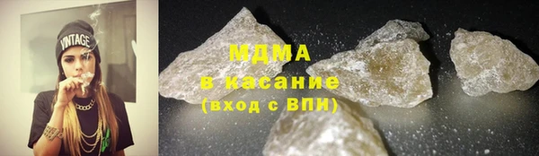 прущие грибы Няндома