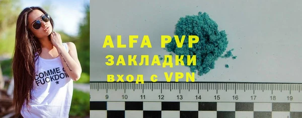 прущие грибы Няндома