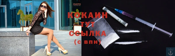 прущие грибы Няндома