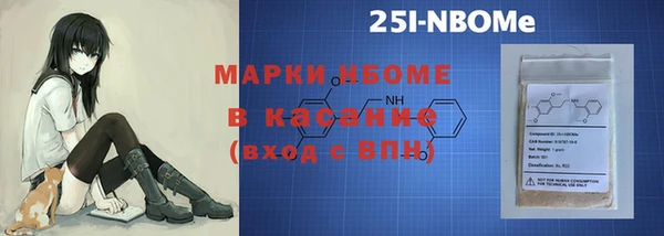 прущие грибы Няндома
