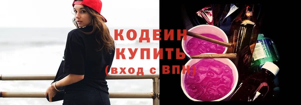 прущие грибы Няндома