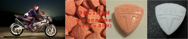 прущие грибы Няндома
