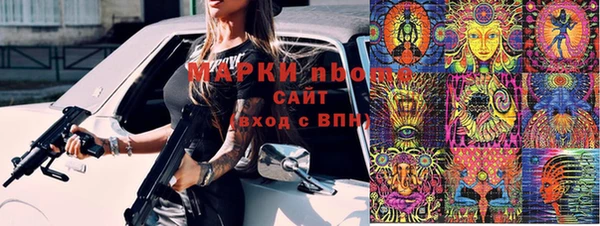 прущие грибы Няндома