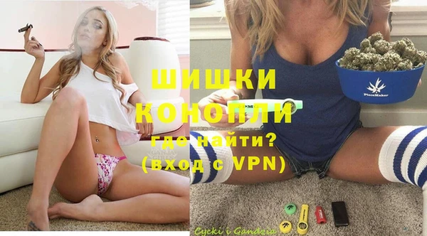 прущие грибы Няндома
