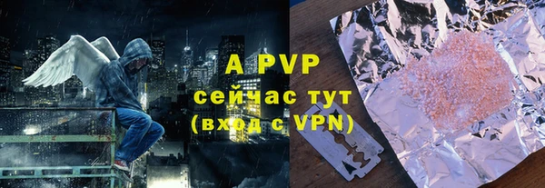 прущие грибы Няндома