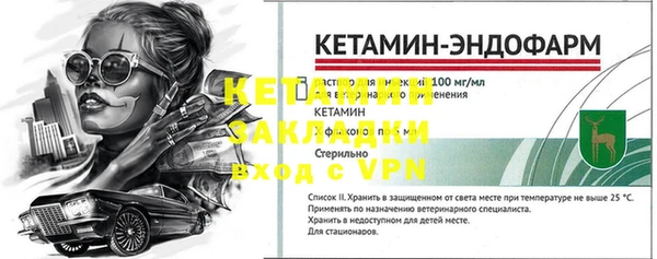 прущие грибы Няндома